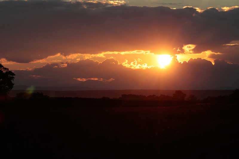 sun2