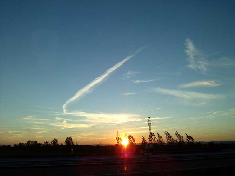 umwelt1